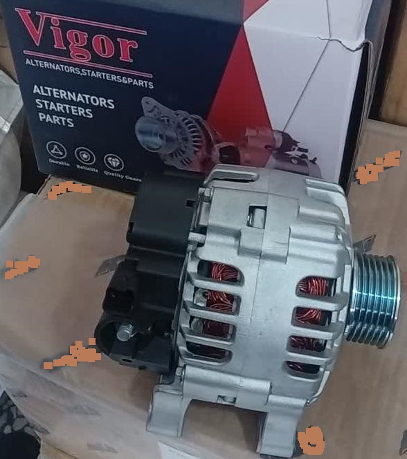 دینام 206 ویگور